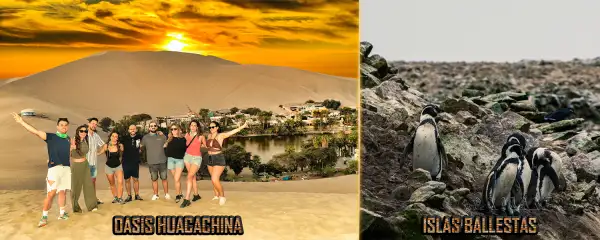 Huacachina Oasis and Seals in Paracas Reserve