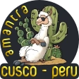 La llama Amantra echada en un Cactus