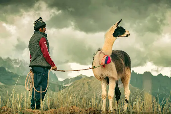 Turistas en un tramo de Camino Inca